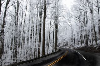 Snow Road