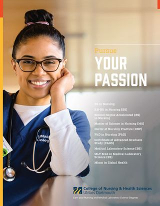 Nursing Online Program Brochure