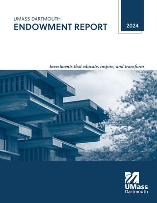 Endowment report 2024