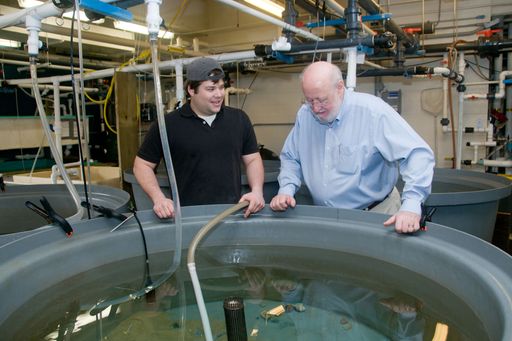 Research being conducted at the School for Marine Science & Technology (SMAST)