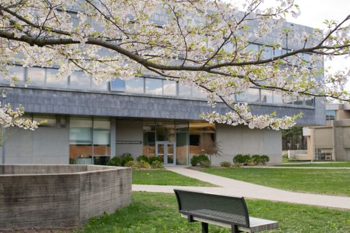 Charlton College of Business (CCB) building during spring