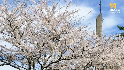 Karam Campanile over flowering trees
