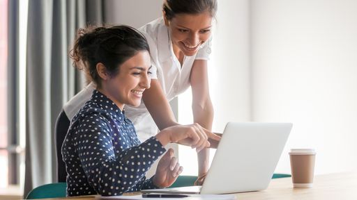 Smiling females talk while working together on a computer