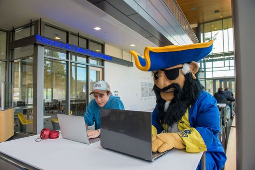 UMassD mascot Arnie studying alongside student