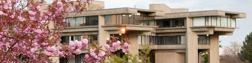 Foster Administration building with pink blossoming tree in the foreground