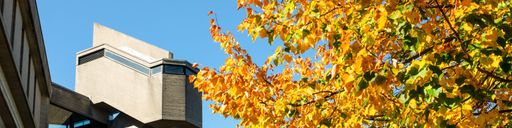 UMass Dartmouth campus building with fall foliage