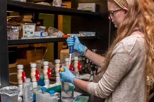 Student working in the biomanufacturing lab