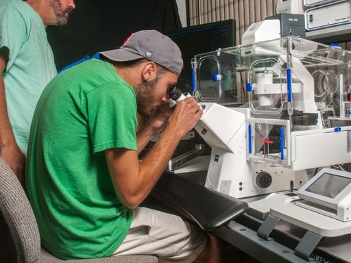Faculty working with students in the Research Experience for Undergraduates (REU) program in integrative marine biology