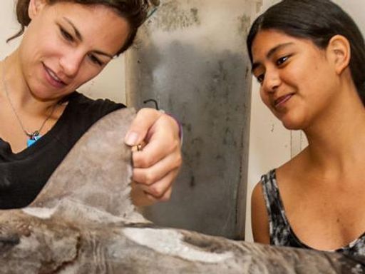 Faculty working with students in the Research Experience for Undergraduates (REU) program in integrative marine biology 