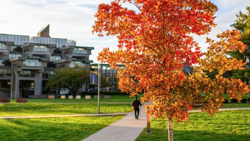 UMass Dartmouth campus in the fall