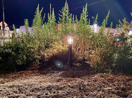 Solar-powered landscape lighting in the park, which was installed by IA+D students and purchased using the Wicked Cool Places grant funds
