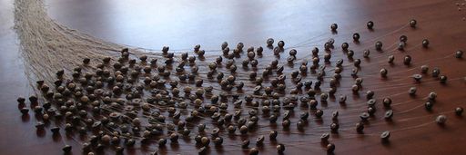 Jodi Stevens: Collective, 2014