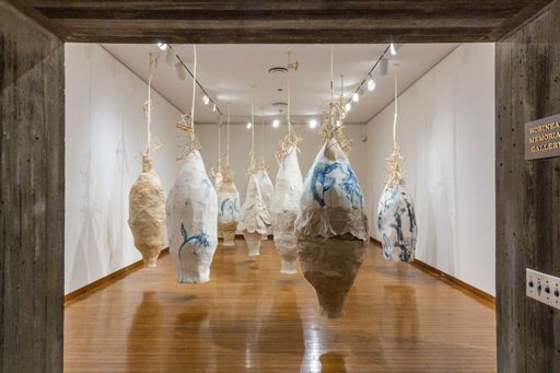 Everson Museum of Art, Rebecca Hutchinson: Re-Generation Exhibition