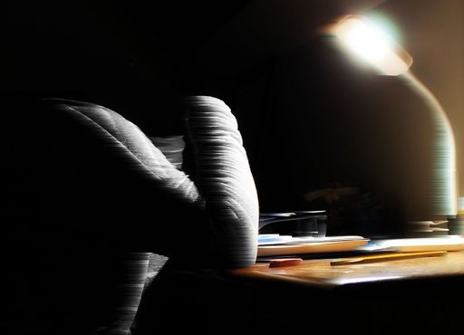 3rd Honorable Mention: Mariah Hovey, Shell of a Student, 2020, digital photography