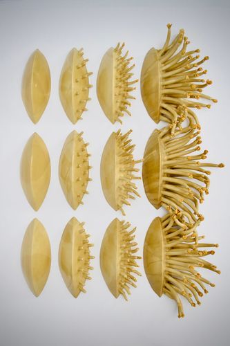 Interlocking wall hanging growth tiles, 2020, glazed porcelain, 46in x 36in x 8in