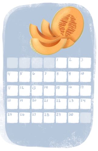 Cantaloupe Calendar