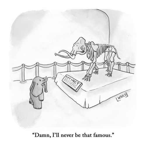 Extinct, 2021, 8 x 8 in.