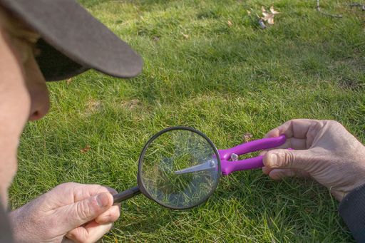 Pride, archival pigment print, 24 x 36 in.