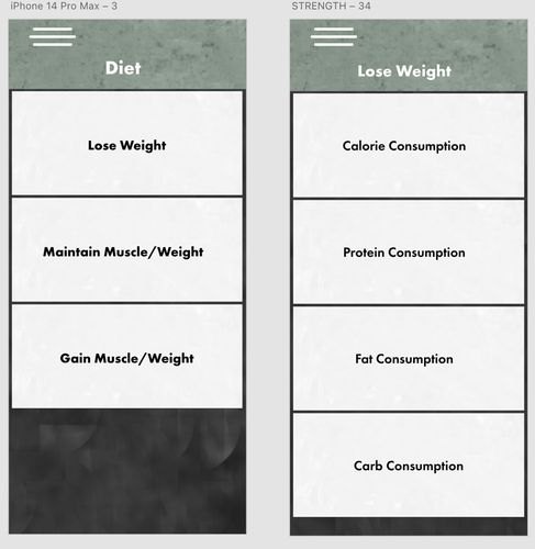 Diet Section Intro and Lose Weight