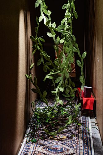 Hallway, 2023, archival pigment print, 24 x 36 in.