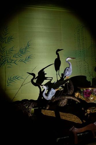 Blue Egrets, 2023, archival inkjet print, 24 x 36 in.