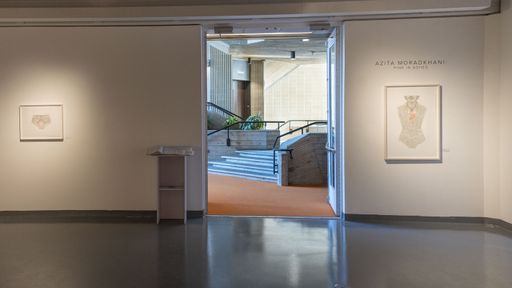 Azita Moradkhani: Pink in Ashes at CVPA Campus Gallery (exhibition view). Photo Andrew Kepinski