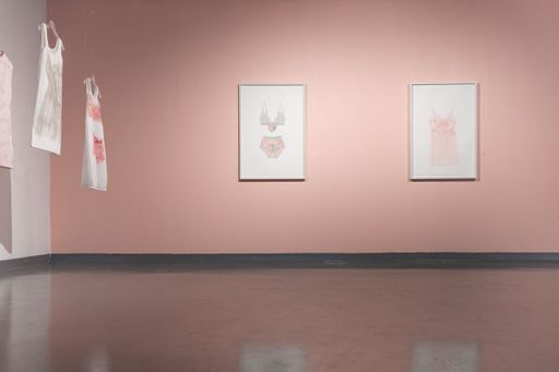 Azita MoradkhaAzita Moradkhani: Pink in Ashes at CVPA Campus Gallery (exhibition view). Photo Andrew Kepinskini: Pink in Ashes exhibition in Campus Gallery