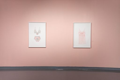 Azita Moradkhani: Pink in Ashes at CVPA Campus Gallery (exhibition view). Photo Andrew Kepinski