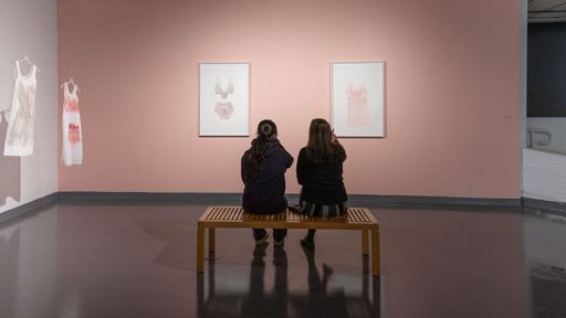 Azita Moradkhani: Pink in Ashes at CVPA Campus Gallery (exhibition view). Photo Andrew Kepinski