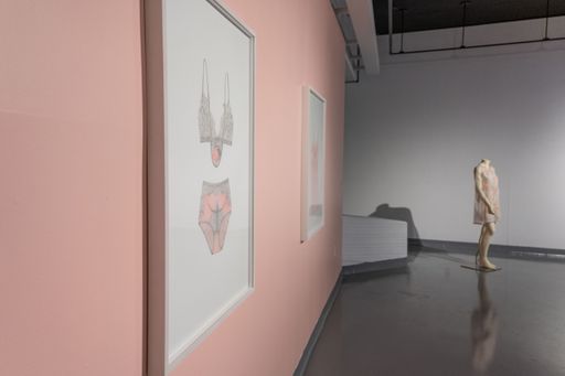 Azita Moradkhani: Pink in Ashes at CVPA Campus Gallery (exhibition view). Photo Andrew Kepinski