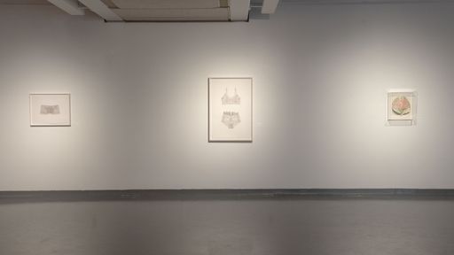 Azita Moradkhani: Pink in Ashes at CVPA Campus Gallery (exhibition view). Photo Andrew Kepinski
