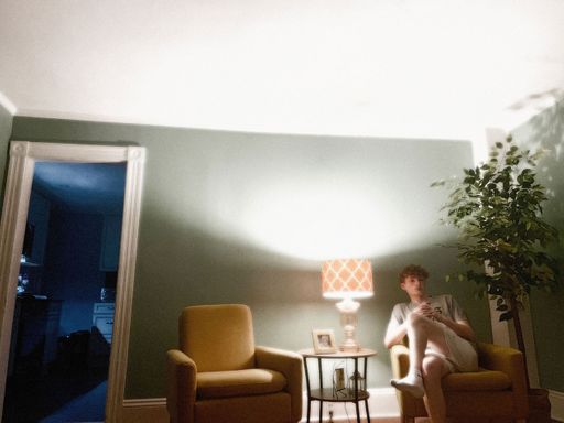 Photo + Video Recognition Award - Dan Albert (senior), Canton High School (Canton, MA), The Other Side, 2024, Photo / Video / Animation, Teacher: Patricia Palmer