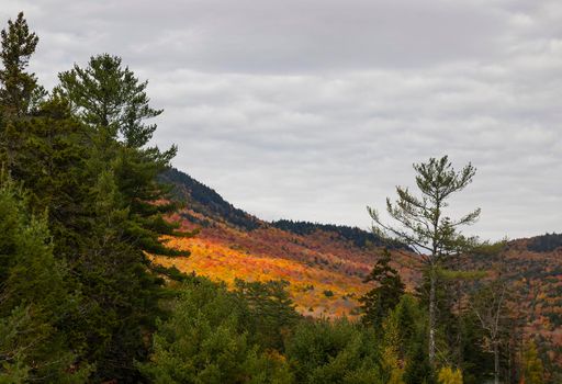 Untitled 9, 2025, archival pigment print, 19 x 13 in.