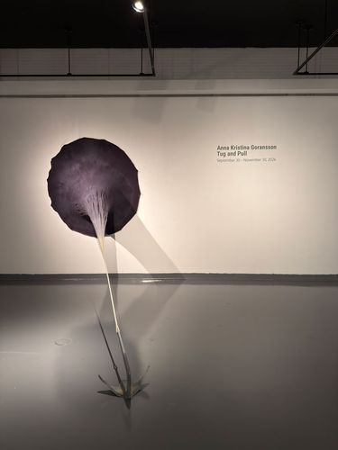 Anna Kristina Goransson: Tug and Pull