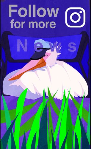 POSITIVE PELICAN OUTRO, 2026, 1080 x 1920px, outro sequence for a series of 3 social media posts that highlight positive environmental news from the year 2025