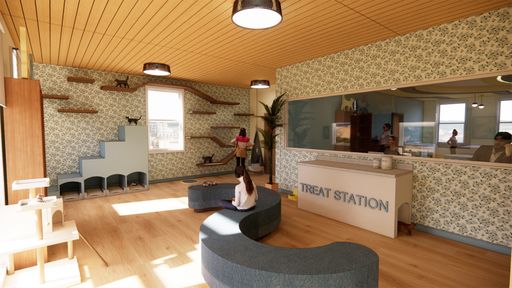 Kitten Room, 2026, Catpuccino Cat Café