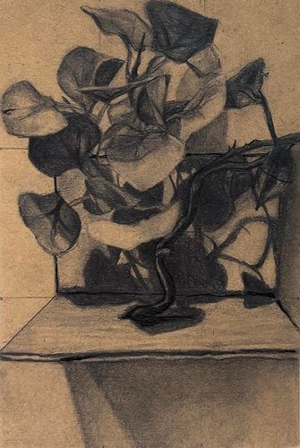 Small Still Life, 2025, graphite and ink on cardstock, 5 x 7 in.