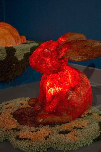 Rabbit