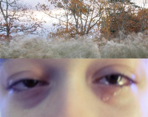 Untitled 6, 2026, archival inkjet print, 18 x 14 in.