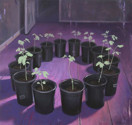 Gingko biloba. I am growing trees in my guest room. I wanted to feel more connected to nature, so I bought plastic pots, plastic bags of soil, and a plastic watering can, 2023, oil on canvas laid on panel, 39x41 in.