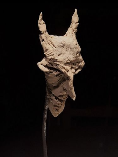 Image 9