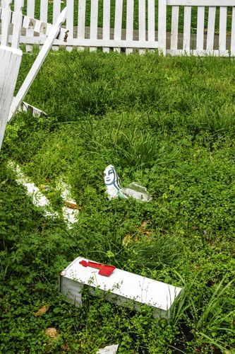 Picket Fences, Covid Walks