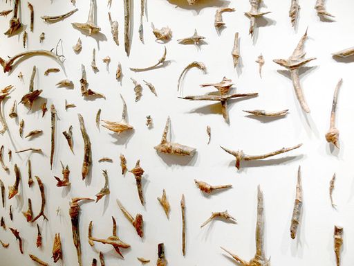 Hickman Exhibition Space