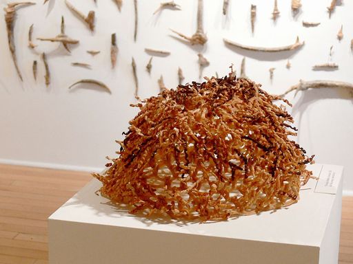 Hickman Exhibition Space