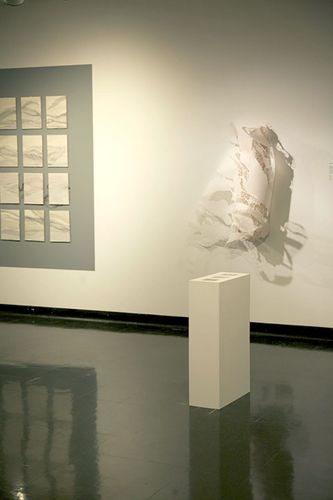 2015 MFA Thesis Exhibition (gallery space)