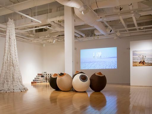 Raquel Paiewonsky: InsideOut Exhibition