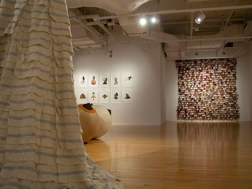 Raquel Paiewonsky: InsideOut Exhibition