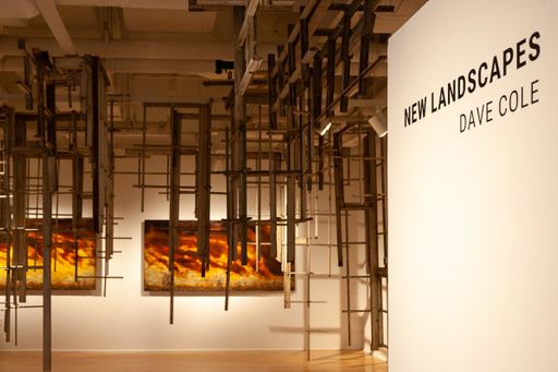 Dave Cole: New Landscapes