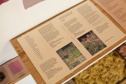 varied clarity: an index, 2021, handmade paper and ink, natural dye, cloth, reclaimed lumber, 7’ x 14’ installation. Photo credit: Hope Millham