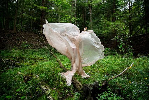 Ⓒ Corinne Spencer: Rose of Sharon, 2021